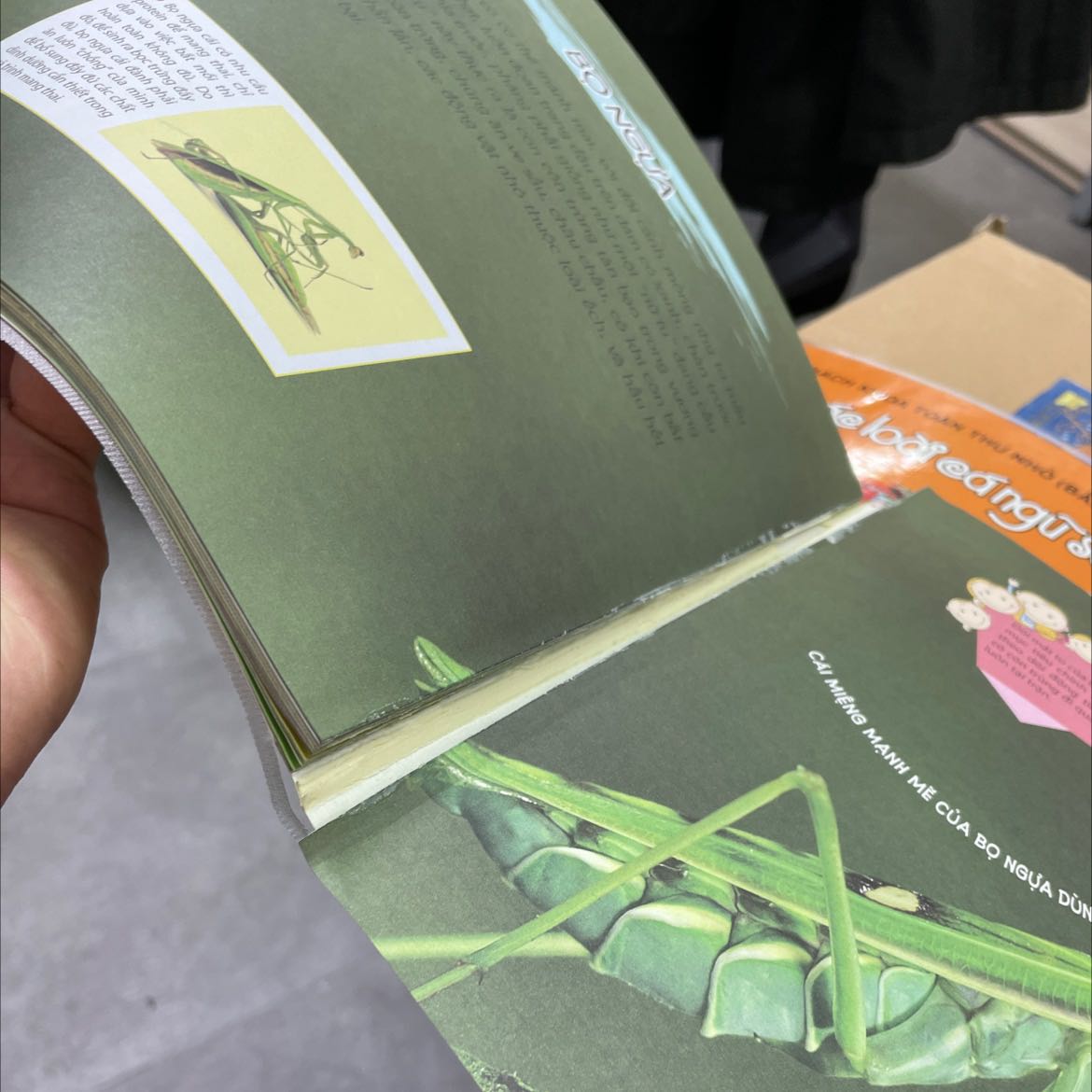 Sách giao hàng rách từa lưa