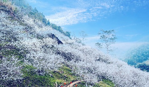 Sách đẹp, nhưng trẻ 3 tuổi có thể chưa hiểu hết, đọc nhiều lần cho con thấm dẫn