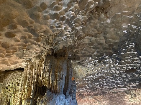 ảnh mang tính chất không liên quan