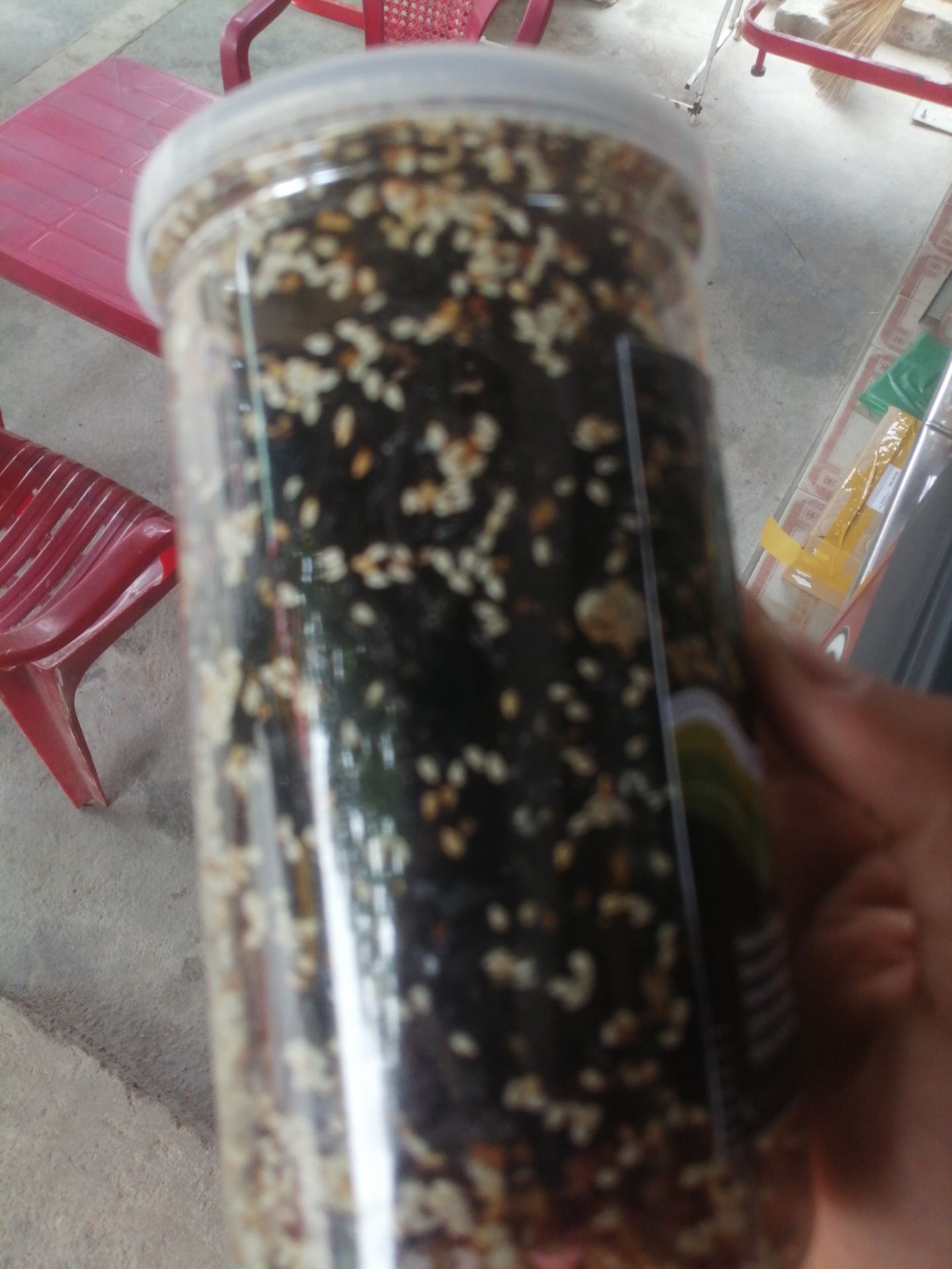 rất biển rất giòn , gia vị thấm rất đậm đà , rất ngon , nhiu mè rất thơm