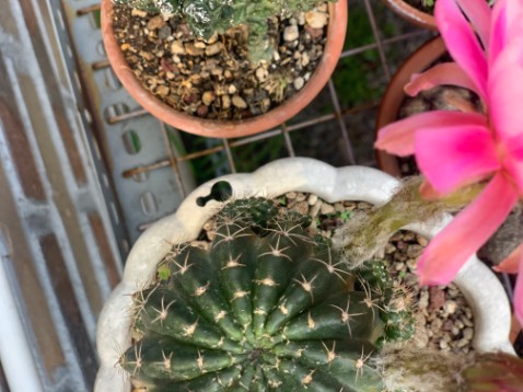 Hay lắm nhé sách đẹp giao hàng nhanh chất lượng