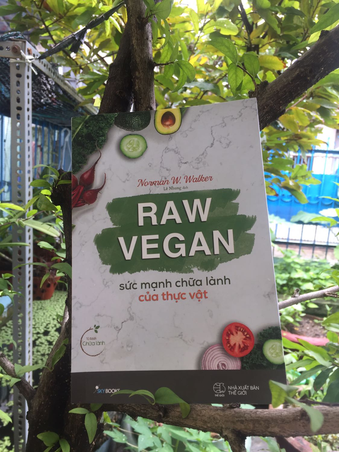 Được gói ghém cẩn thận. Tôi vote 5*