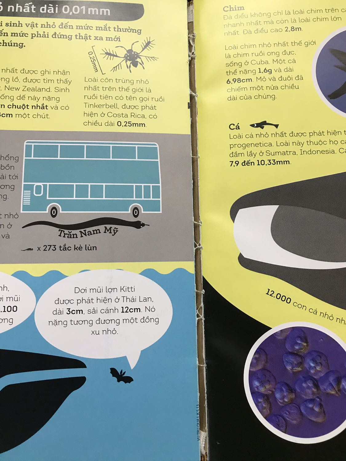 Sách lỗi. Đề nghị tiki đổi lại sách. 
Sách bị bong gáy và rời trang, góc cạnh bị sứt.