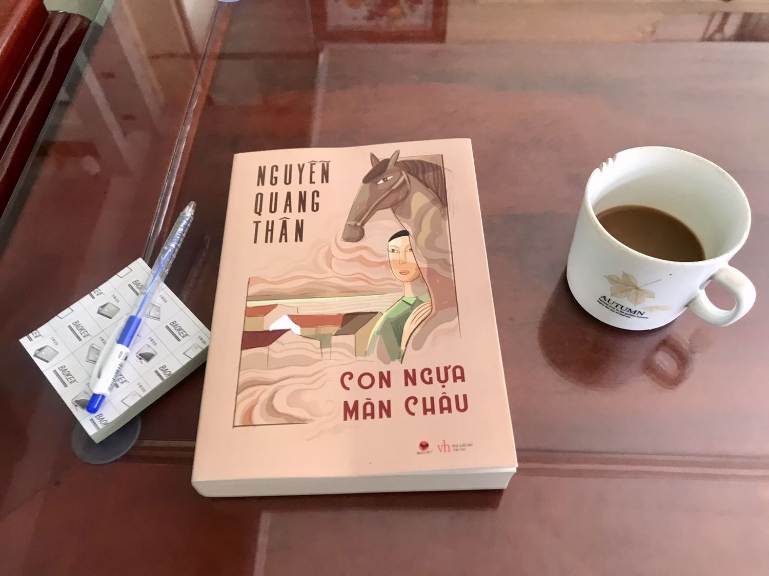 Chất lượng in ấn khá ổn.
Đôi khi còn sai lỗi chính tả (lỗi đánh máy).
Nội dung cũng bình thường, không quá gay cấn nhưng cũng k phải nhạt nhoà.
Nói chung là được, không quá xuất sắc nhưng mọi người nên đọc vì sách cho ta hiểu nhiều điều trong xã hội Việt Nam những ngày đầu giành độc lập.