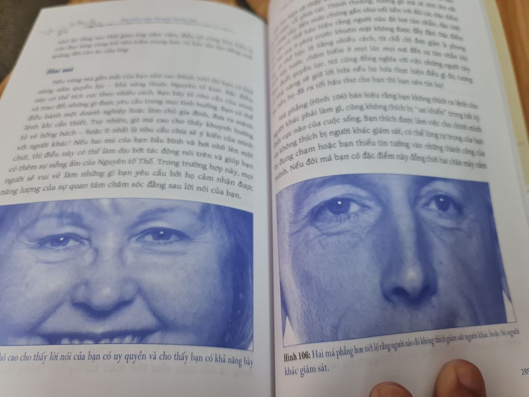 Sách viết theo quan điểm Tây phương nên nghiêng về phân tích tâm lý chứ không tiên đoán được hậu vận như kiểu Trung Quốc !