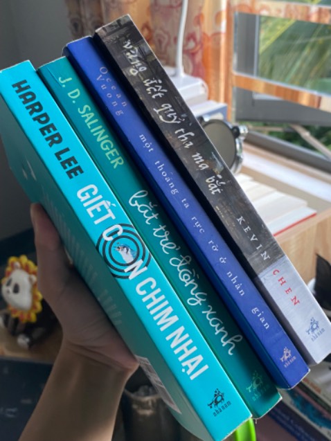 Cốt truyện mị hoặc, lôi cuốn. Câu chuyện kể về lần về thăm nhà của nhân vật chính, nhưng điều quan trọng là những mảnh ghép quá khứ, lớp này rồi lớp khác, chòng chất, liên kết lại với nhau, tạo nên những nút thắt mở khiến người đọc không thể dừng việc truy tìm lời giải. Có nét buồn của "Một thoáng ta rực rỡ ở nhân gian", sự bất công của "Giết con chim nhạy", và sự cô đơn giữa biển người của "Bắt trẻ đồng xanh".