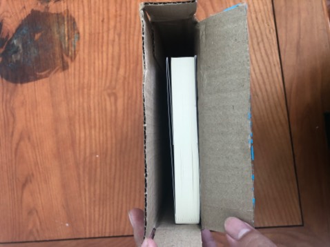 Giao hàng nhanh, sách đóng gói hơi sơ sài may là cũng không ảnh hưởng nhiều. 
Về nội dung: Cách kể chuyện hay, đoạn twist gần cuối truyện khá bất ngờ, cái kết thì đúng như mô tả, “đáp án không đem lại hạnh phúc cho bất kì ai”. Cảm tưởng như coi phim kinh dị gặp bad end sát nhân thắng còn mọi người chết hết vậy:)). Chưa đọc có thể xem để trải nghiệm nhé.