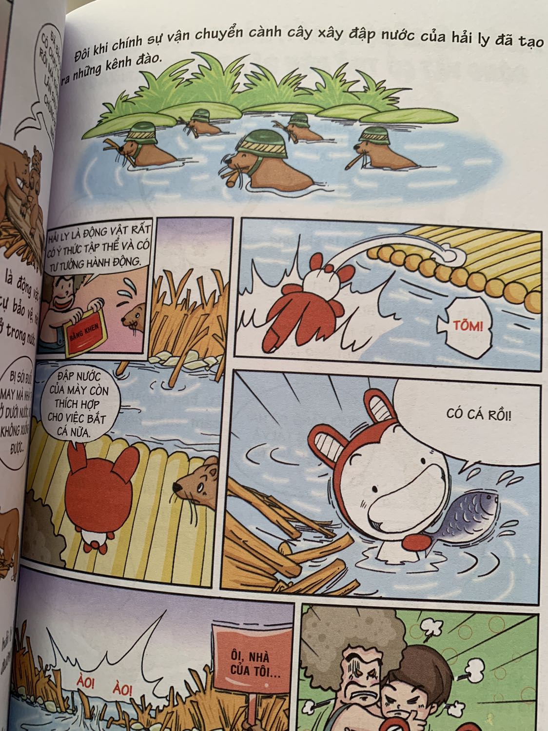 Kiến thức được lồng ghép bằng những câu chuyện vui nhộn, bé đọc sẽ nhớ lâu hơn. Mình thích cách truyền tải kiến thức như vậy. Ủng hộ Đinh Tị Books!