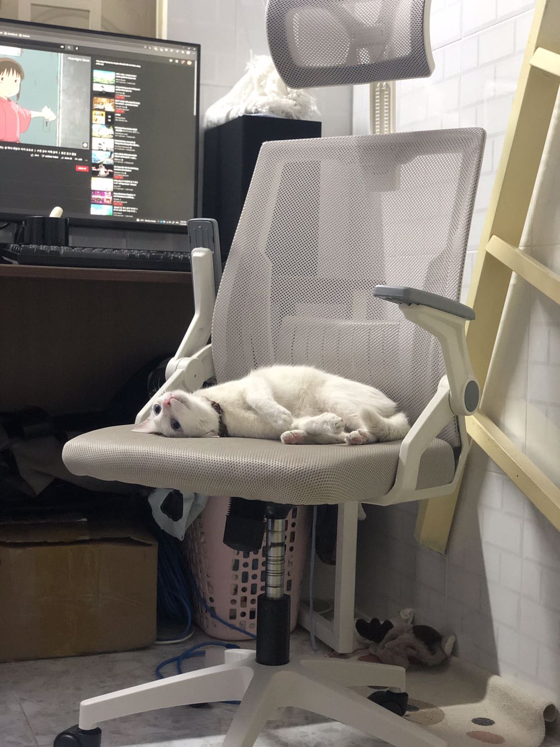 Ghế đẹp, đóng gói tốt. Có đều ko có hướng dẫn lắp ráp nên với người mới thì hơi tốn thời gian tìm hiểu