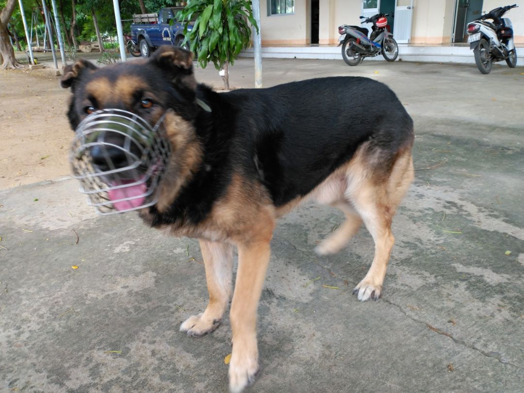 quần xịn mua với mã giảm giá của shop. siêu siêu thích. sẽ ủng hộ tiếp khi có nhu cầu