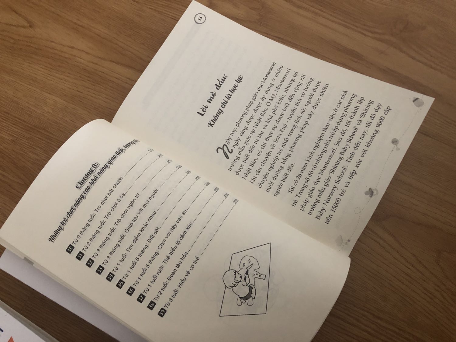 Sách hay, dễ hiểu, phù hợp với những người có mong muốn tìm hiểu và khám phá tâm lý, trí tuệ trẻ thơ. Sách vẫn còn một số lỗi chính tả ("mầm non" in là "mần non"), hy vọng lần tái bản sau sẽ sửa hết những lỗi này.