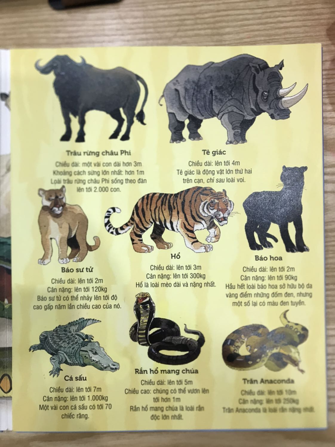 Sách rất hay luôn. Khổ lớn, tranh ảnh và nội dung đều ok. Bé rất thích. Cuốn này nên mua cho bé.