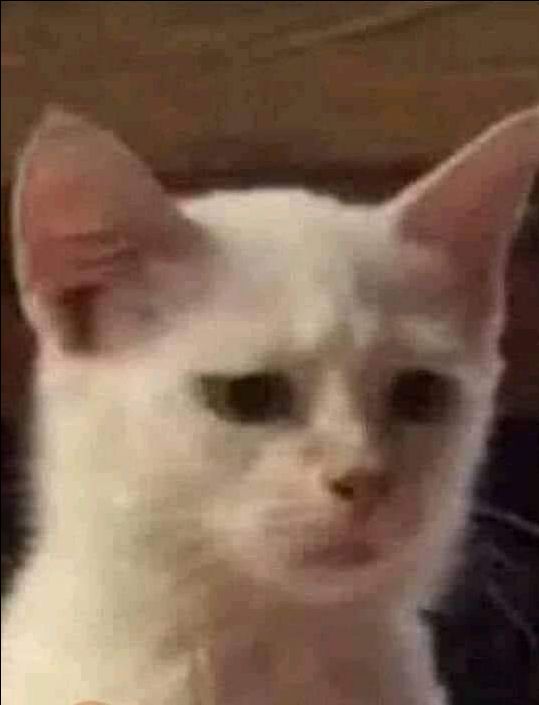 Gia công kém. Ốp k ôm máy. Viền trên lại còn cong ra ngoài nhìn chán thực sự. Tóm lại phí tiền.