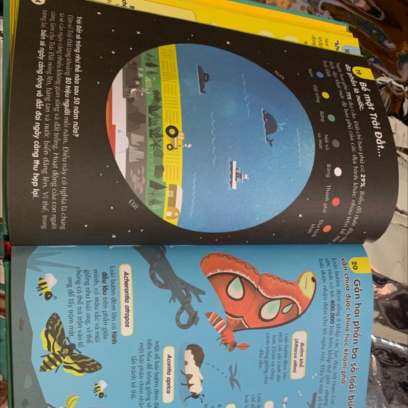 Sách dày dặn, bìa dày, mực in rõ nét, không bị nhoè. Hình ảnh đẹp mắt, nội dung đơn giản, chủ yếu cung cấp thông tin dạng sơ đồ, giúp bé đọc dễ dàng. Cũng có vài chỗ viết hơi khó hiểu do dùng từ chuyên ngành.