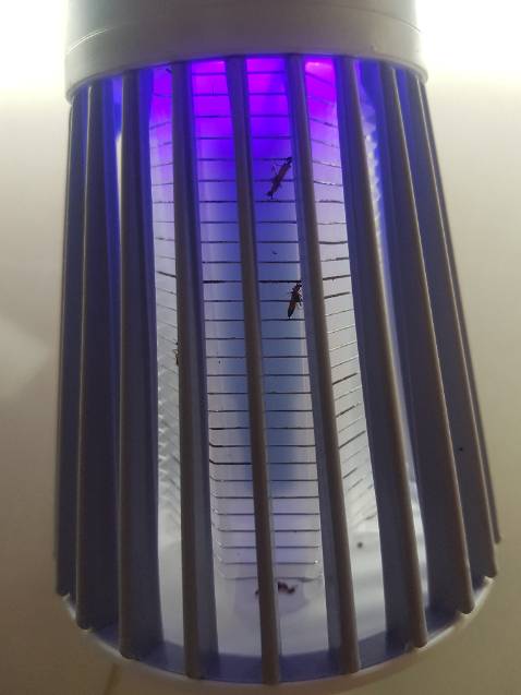 Nhỏ mà hiệu quả nha. A/c/e mua về để gần cửa ra vào hay cửa sổ kín, hoặc khu vực gần ban công.