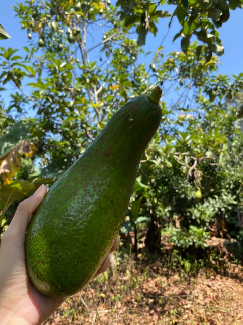 Mình đã mua nhiều lần! 
Tư vấn tốt
Chăm sóc khác hàng tốt
Sản phẩm ổn trong tầm giá
Do mình mua cho, nên không giữ lại hình
Hình ảnh chỉ mang tính chất nhận xu
Mình cảm ơn