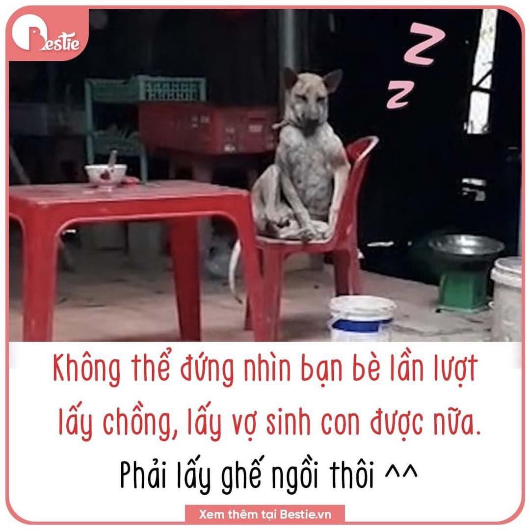 Thực sự rất tốt, chỉ sau lần sử dụng thứ 2 thì hiệu quả rõ rệt. Không hề ra mồ hôi, mặc dù trước đó bản thân mình mồ hôi khá nhiều vùng nách. Sản phẩm k hề gây kích ứng, châm chích, k có mùi cồn khó chịu. Vì k có cồn nên khả năng sẽ k gây thâm nách như 1 số sp của Pháp mình đã dùng. Thực sự rất tốt, chỉ sau lần sử dụng thứ 2 thì hiệu quả rõ rệt. Không hề ra mồ hôi, mặc dù trước đó bản thân mình mồ hôi khá nhiều vùng nách. Sản phẩm k hề gây kích ứng, châm chích, k có mùi cồn khó chịu. Vì k có cồn nên khả năng sẽ k gây thâm nách như 1 số sp của Pháp mình đã dùng.