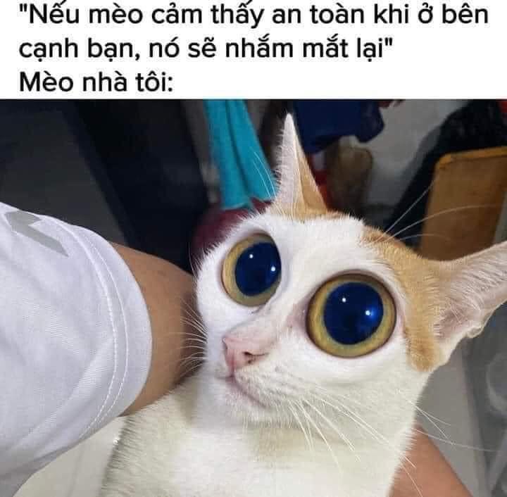 Sản phẩm giá rất hợp lí, có tikinow nên ko phải lo nắng về giá ship, ko biết sau khi hết gói này có mua dc tiếp nữa ko.