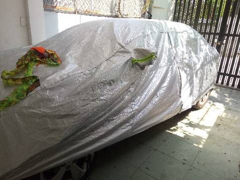 Đã nhận hàng được 2 hôm, đánh giá cho shop này tí, nhìn thấy nhiều đánh giá rõ tốt mà không hiểu sao cứ hiện lên 1 sao thấy thương thật. Nên khách quan nhận xét để cho các bạn tường tận rõ nhất. Con Camry của mình cũng dùng được hơn năm rồi, đã từng mua 2 lần bạt phủ ở bên sàn khác nhưng mỏng 1 lớp và nhanh rách, nó như áo mưa ấy! Hàng lần này mua thì dày hơn, trọng lượng bạt cũng nặng tới 3 kg khá chắc tay. Tráng bạc nên phản quang, phản nhiệt tốt, giữ nhiệt độ xe không quá cao nên đồ trong xe an toàn, giảm được gần chục độ khi không có bạt phủ bên ngoài. Bạt rộng thoải mái nên là trùm kín đc
Ở Hà Nội mình ở Linh Đàm nên là bãi xe để ngoài, nhiều khi trời nắng 42 độ mùa hè trông xót xa lắm, đồ trong xe nó chảy hết cả khoang lái, ngồi vào như tôm luộc, có bạt ô tô nên xe cũng vì vậy mà đỡ nhiệt hơn hẳn. Cho shop 5 sao, thấy hang tốt mà bị kéo rank nên ủng hộ shop này!!