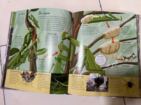 Nhiều kiến thức thú vị. Hình ảnh đẹp. Nhưng gáy sách có vẻ không được chắc chắn lắm. Tiki giao hàng cực nhanh.