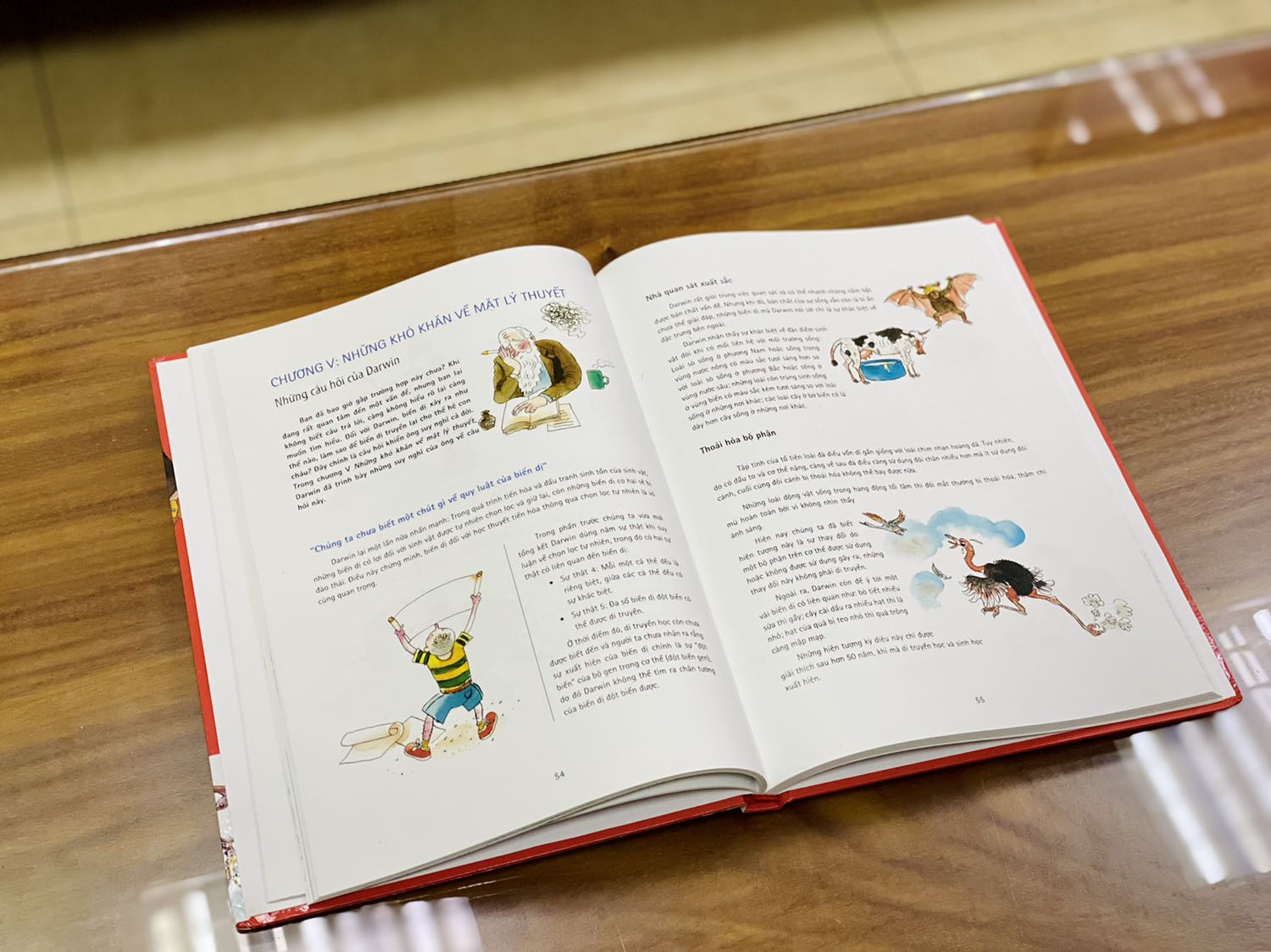 - Fahasa giao hàng nhanh hơn dự kiến 2 ngày, kiện hàng luôn được đóng gói chắc chắn, sách được bọc màng co và chống sốc tuy nhiên bìa sách có nhiều vết hằn, các góc sách bị cong và rách nhẹ. Có thể do quá trình bảo quản chưa được cẩn thận (không phải từ việc vận chuyển).
- Về mặt hình thức sách có bìa cứng, khổ to, cầm khá nặng và chắc chắn. Sách được in màu toàn bộ trên giấy bóng, chất lượng giấy tốt, hình ảnh minh họa sinh động, nhiều màu sắc. 
- Về mặt nội dung cá nhân mình thấy sách trình bày khoa học theo từng phần, từng chương, cung cấp nhiều kiến thức bổ ích. Sách phù hợp cho các bạn thích môn sinh vật học.