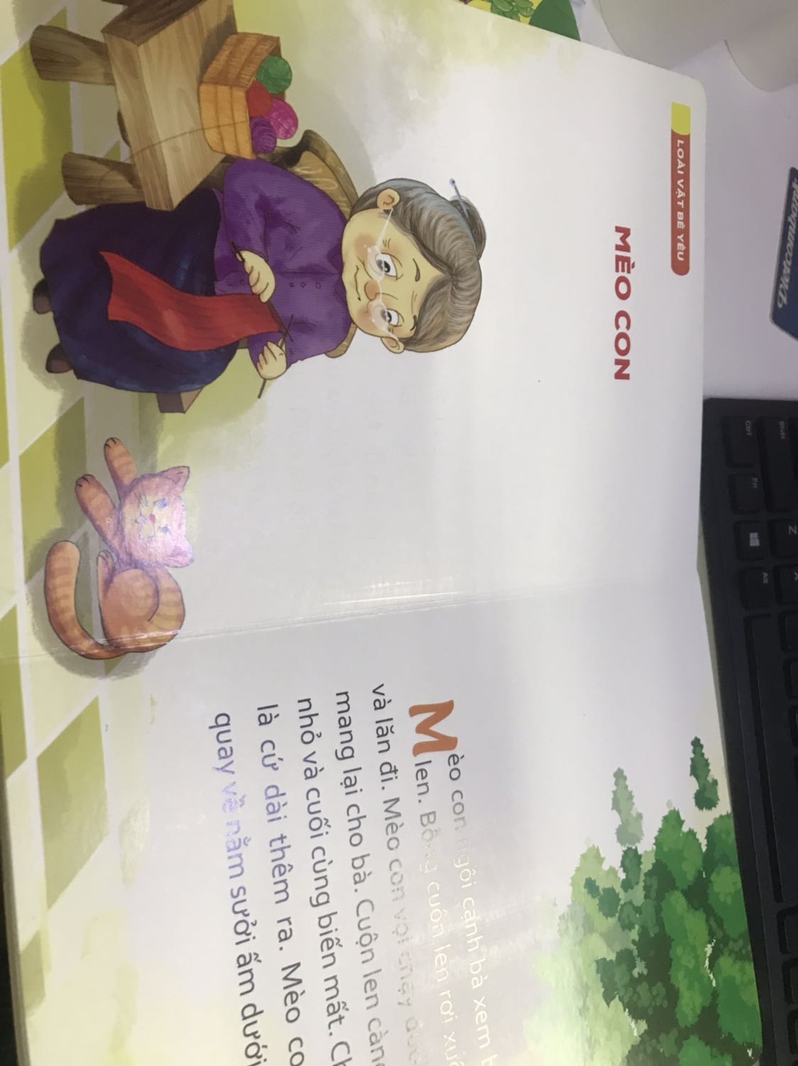 Mình mua kèm thêm 2 quyển nữa là Truyên cho bé tập đọc vs Thơ cho bé tập nói. Sách còn mới vs rất sạch sẽ. Bìa cứng nên bé ko xé được đâu. Giá rẻ hơn bìa nhiều. Đọc buổi tối trc khi đi ngủ vs bé rất thích ah