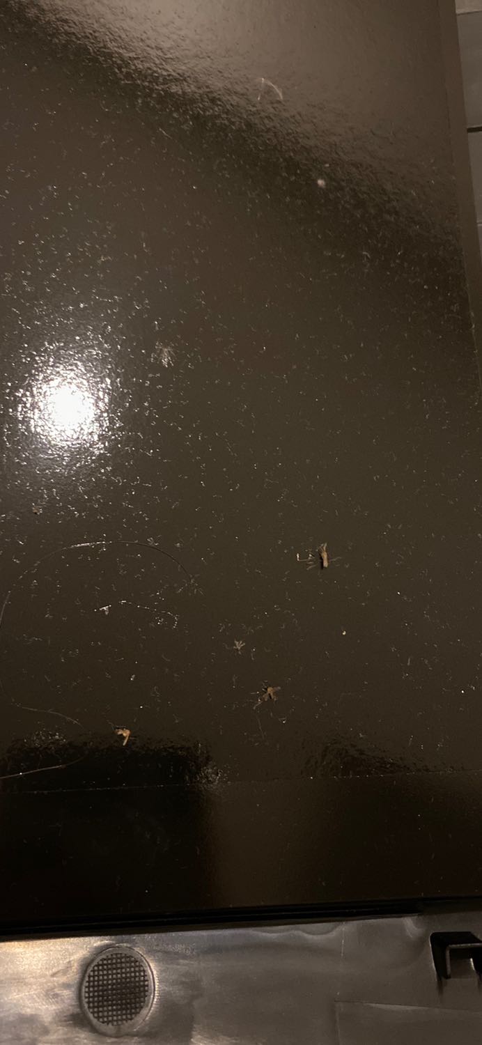 Máy lọc được bụi khá, nhưng mình vẫn cảm thấy nếu chỉ 1 máy cho 1 căn phòng, tại 1 vị trí nhất định là không đủ. Vì có những nơi trong phòng bụi vẫn còn. Nhưng bất ngờ nhất là chức năng bắt muỗi, bắt được muỗi thiệt cả nhà ơi ?? 10 điểm