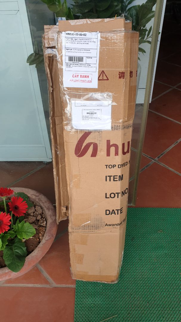 Sản phẩm (cây xanh) chất lượng tốt dù được gửi từ Tp. HCM ra HN