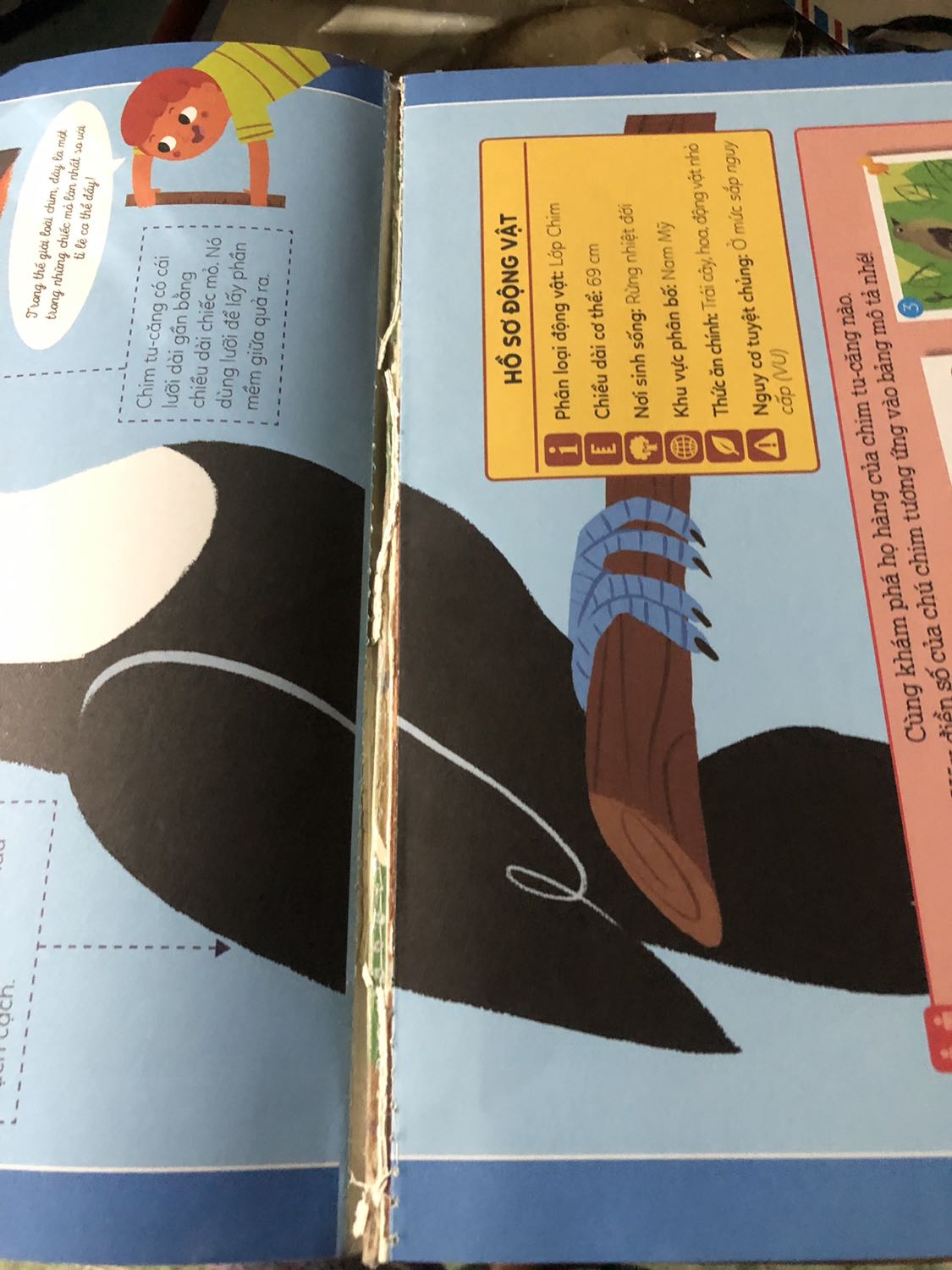 Giao hàng nhanh, nội dung hay nhưng chất lượng sách k ok, mới nhận hàng mở ra khô keo xứt các trang ra. Phải lấy keo 2 mặt dán