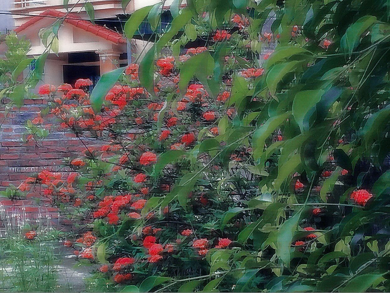 Sách đủ kiến thức, học hay lắm ạ