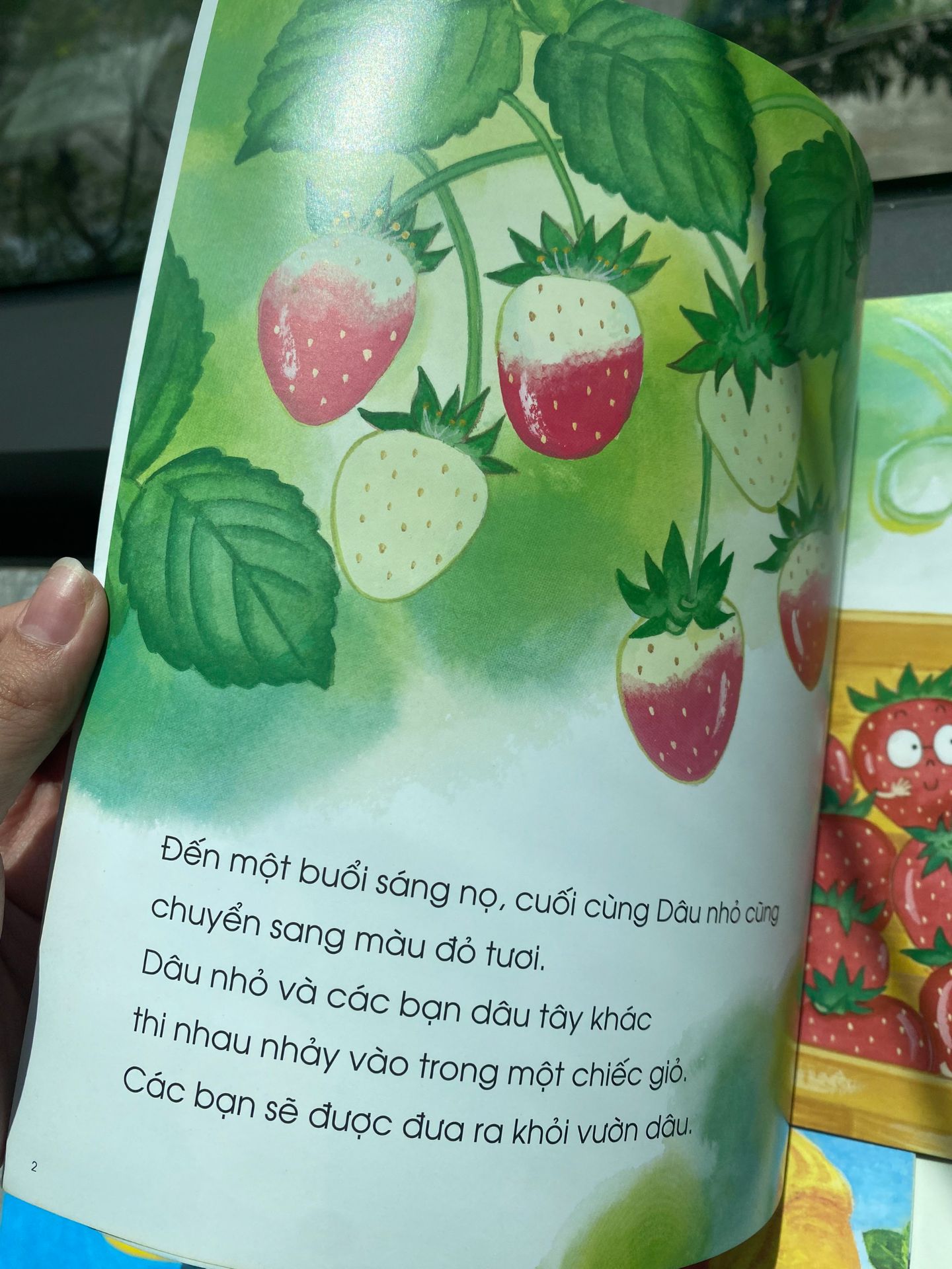 con mình thích cuốn này nhất, toàn tự nhận bạn dâu nhỏ này giống mình, rồi đòi mẹ đọc thêm vài lần nữa