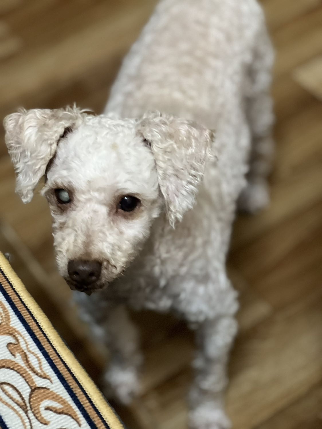 Tiki giao hàng nhanh khỏi bàn rùi, nói chung là mua cho các bé ăn thay đổi. Hài lòng ạ