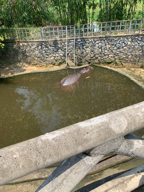 Giao hàng nhanh đóng gói chắc chắn đặt hộ nên kb ntn jjjhhhbvv