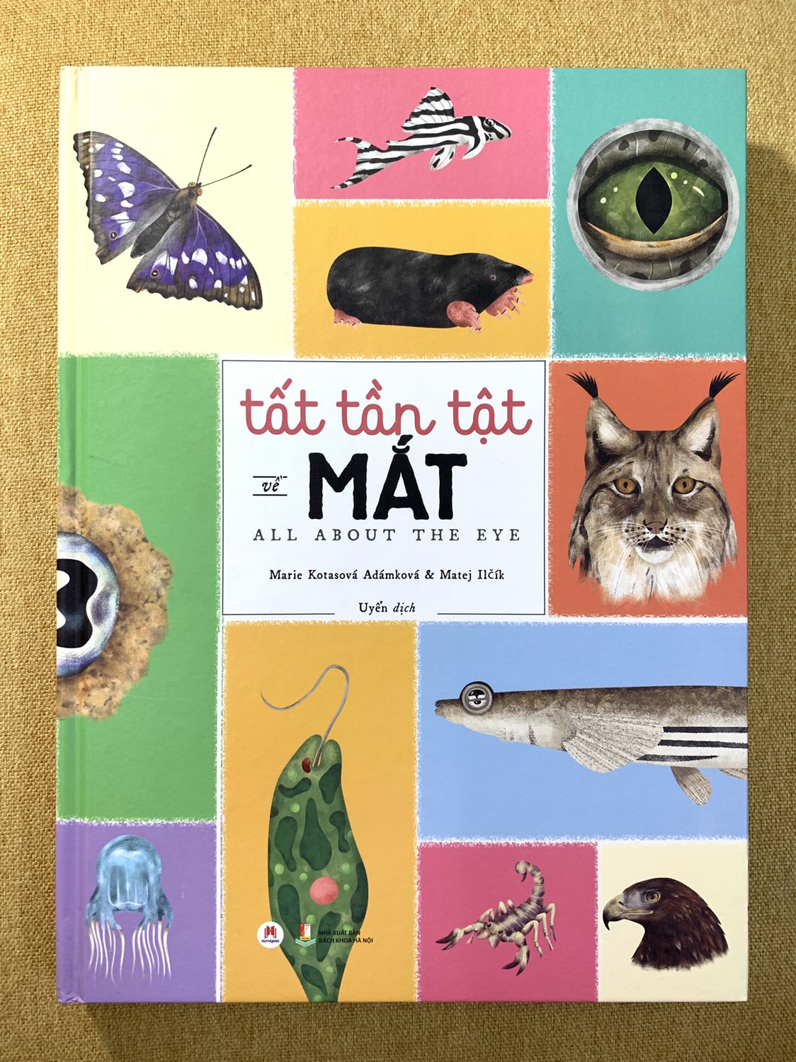 Đóng gói sơ sài, giao nhanh. Sách hơi bụi. Sách nhiểu minh hoạ bắt mắt, nội dung thú vị.