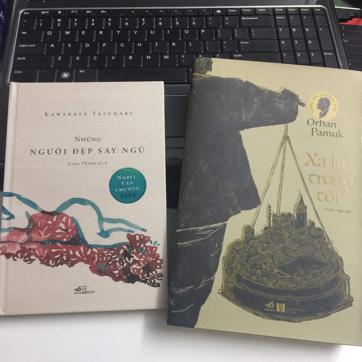 Tác phẩm ngắn nhưng Nhã Nam làm bìa cứng rất đẹp! 
Tác phẩm của Kawabata trước có đọc qua Xứ tuyết, lần đầu đọc thì không mấy đặc sắc nom hơi chán, nhưng cách tác giả miêu tả về vẻ đẹp thỉnh thoảng lúc tâm trạng lại cứ nghĩ đến, qua Những người đẹp ngủ say cũng tương tự, mang phong cách văn chương riêng của tác giả, chú trọng miêu tả chi tiết và tôn vinh vẻ đẹp!
Không biết đánh giá sao, nhưng nếu ai thích một cuốn sách lột tả sự u buồn mà đẹp đẽ thì nên đọc thử tác phẩm của Kawabata.