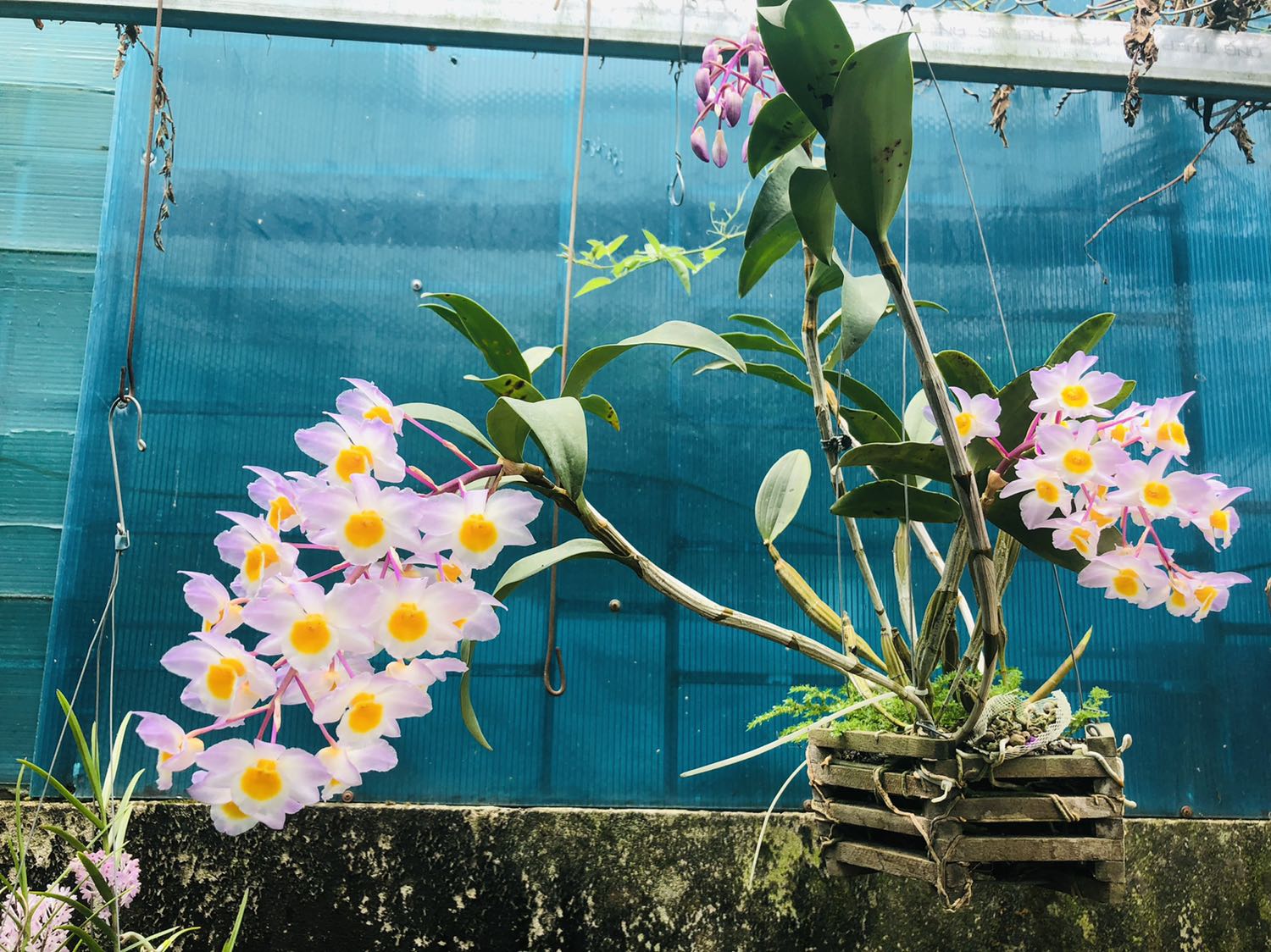 Hàng ok. Giao nhanh, đóng hàng cẩn thận Hàng ok. Giao nhanh, đóng hàng cẩn thận