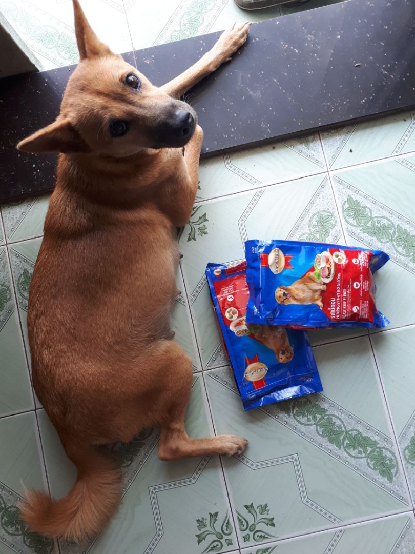 Hình này là túi mình mua ở cửa hàng, thấy bạn Gấu có vẻ thích nên mình đặt Tiki hẳn 2 túi lớn. Lần trước mua vị cừu bạn ấy chê, nên mình nghĩ bò nướng sẽ ngon hơn.
Tiki đóng gói cẩn thận, giao hành sớm, đặt hôm qua là hôm nay có rồi. Hình này là túi mình mua ở cửa hàng, thấy bạn Gấu có vẻ thích nên mình đặt Tiki hẳn 2 túi lớn. Lần trước mua vị cừu bạn ấy chê, nên mình nghĩ bò nướng sẽ ngon hơn.
Tiki đóng gói cẩn thận, giao hành sớm, đặt hôm qua là hôm nay có rồi.