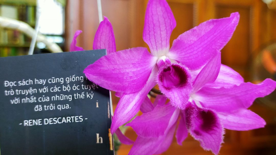 Sách ấn bản đẹp, giao hàng nhanh. Hình ảnh mang tính chất gửi theo đánh giá sp.