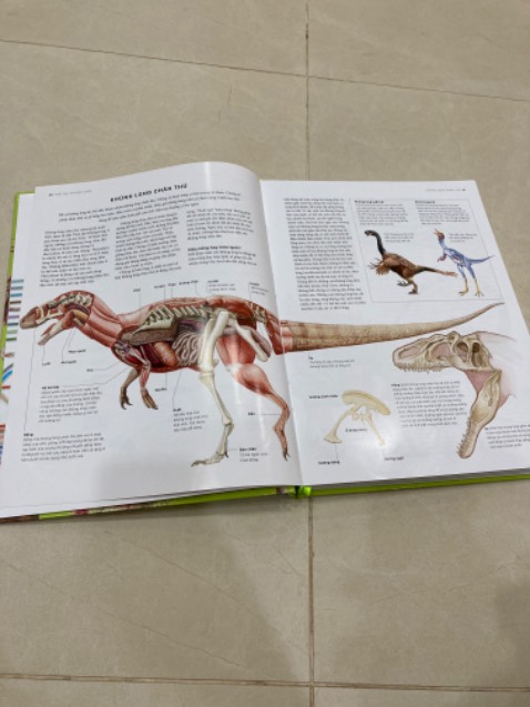 Cực kì chất lượng, mua dược với giá sale 40% nữa, nhóc nhà 5 tuối cực thích