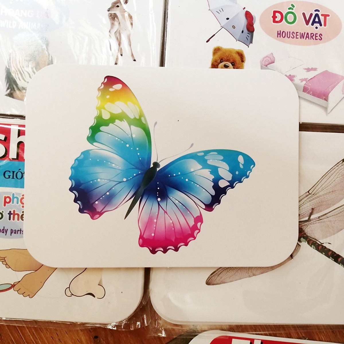 Bé nhà tớ học rất vào ạ, các mẹ có biết không! Bình thường chỉ dán mắt vào quảng cáo tivi với cho điện thoại thì thích lắm. =))
Cơ mà mua cho bộ này bỏ hẳn tivi luôn, điện thoại thì cũng bỏ ngang luôn, mừng ghê ấy
mà cháu cũng được 1 lúc, thôi thì cũng ổn hơn rồi ạ
mà lại còn được học nữa chứ
Thẻ học dùng 2 ngôn ngữ: Tiếng Việt và Tiếng Anh.
Bé có thể vừa chơi vừa học, cho bé sự thoải mái khi học.
Chất liệu giấy cứng bóng in một mặt 4 màu
Rèn luyện và phát triển khả năng tư duy và khả năng tự học cho bé
Tăng cường khả năng khám phá và ghi nhớ cho bé
Giúp bé sớm làm quen nhận biết được thế giới xung quanh
Giúp bé tự học và khả năng ghi nhớ tiếng anh qua các hình ảnh