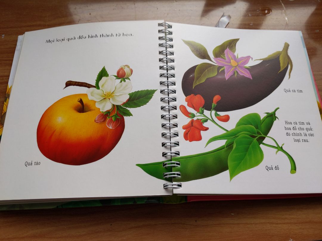 Sách bị thiếu 5 trang plastic ở bên trong (hình đính kèm). Giữa các trang này luôn luôn có trang plastic. Đề nghị liên hệ đổi trả.