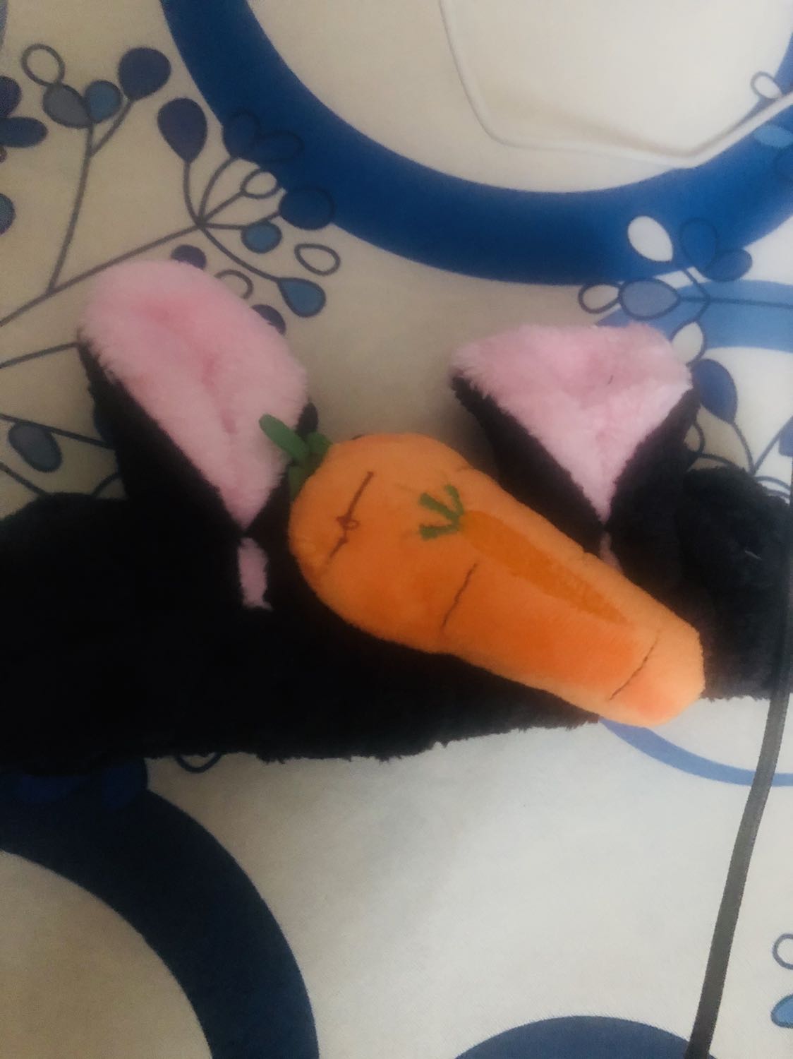 Giao k đúng mẫu. Giao cai có củ cà rốt k đúng mẫu Giao k đúng mẫu. Giao cai có củ cà rốt k đúng mẫu