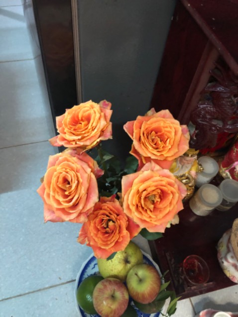 Sách đẹp, bìa cứng