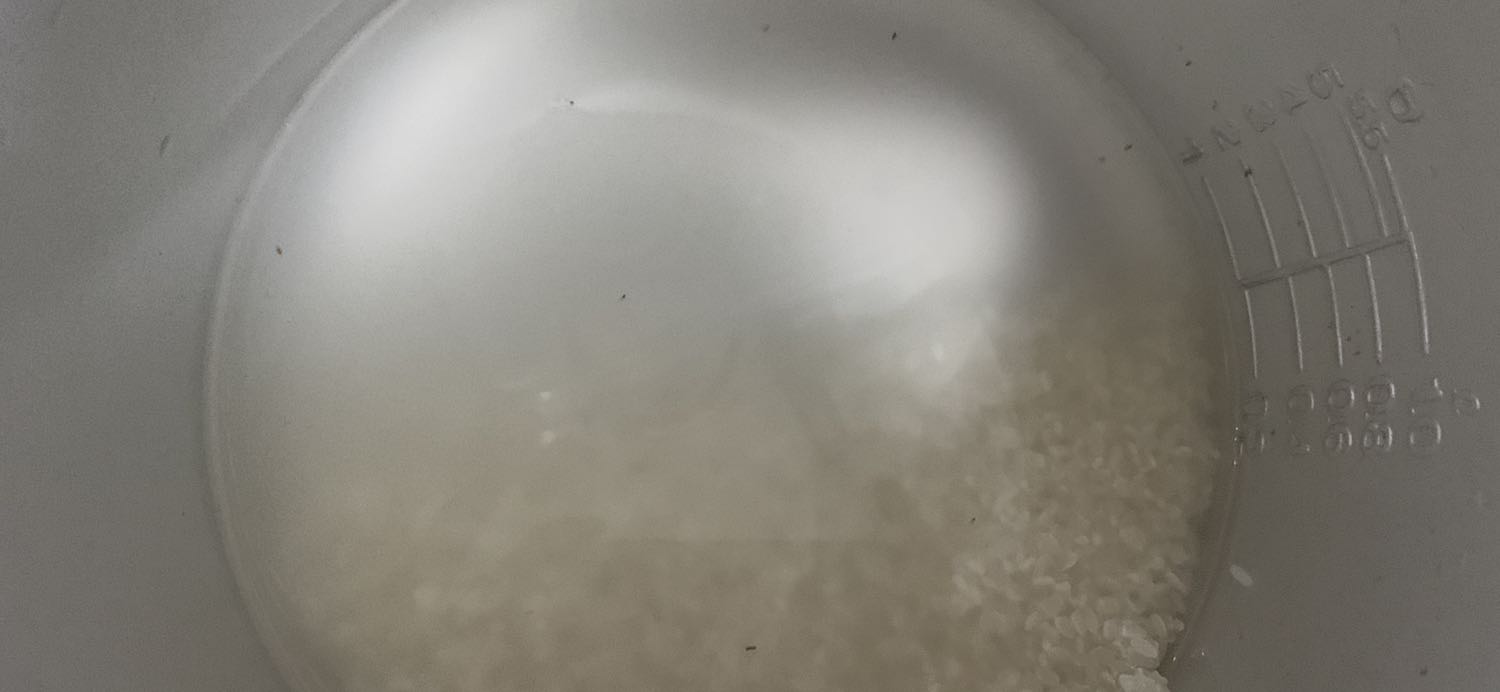 Quá thất vọng, hạn sử dụng thì chỉ còn 3 tháng, mình tính thôi để sử dụng do cũng mua lỡ rồi. Mà khi lúc mở túi ra thì gạo quá trời mọt. Shop xem liên hệ đổi hàng cho mình  gấp nhe. Hok thể nào ăn được luôn Quá thất vọng, hạn sử dụng thì chỉ còn 3 tháng, mình tính thôi để sử dụng do cũng mua lỡ rồi. Mà khi lúc mở túi ra thì gạo quá trời mọt. Shop xem liên hệ đổi hàng cho mình  gấp nhe. Hok thể nào ăn được luôn