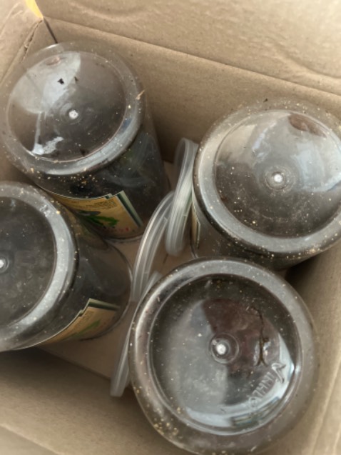 Mẫu mã đẹp, ăn ngon, sẽ ủng hộ tiếp