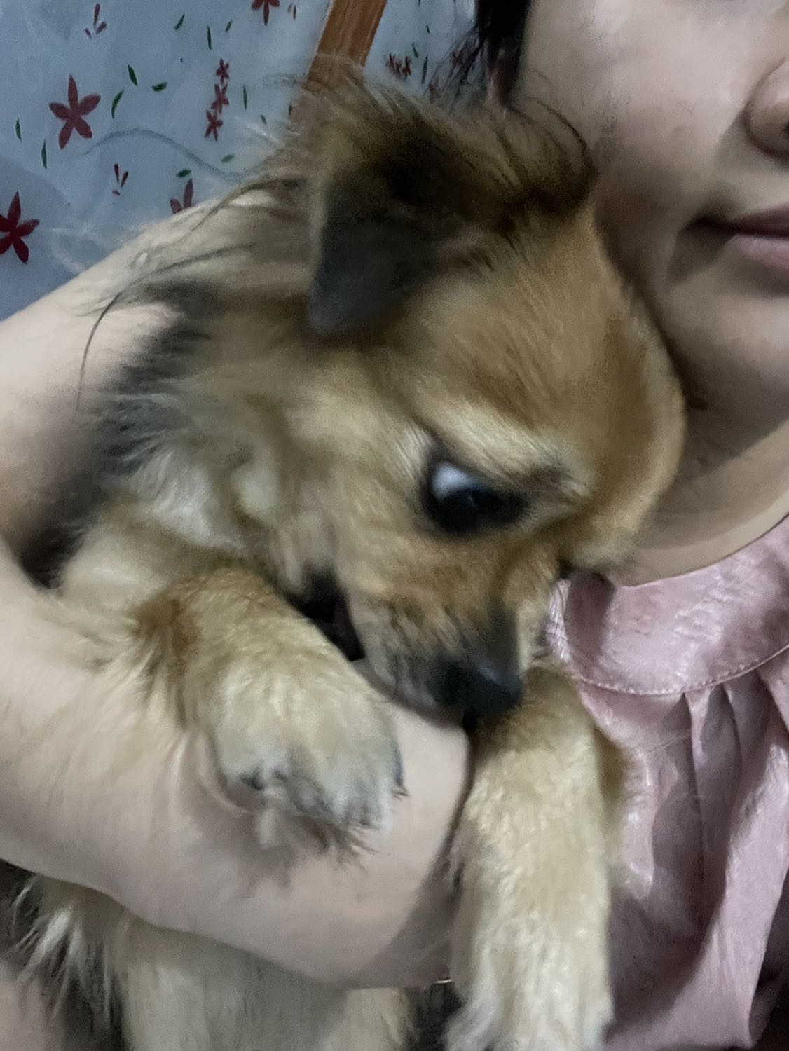 Thông điệp Muôn Kiếp Nhân Sinh đã mở cánh cửa dẫn người đọc đến thế giới tinh thần thanh khiết, thênh thang, nơi không có sự phân biệt giữa thế giới tâm lunh