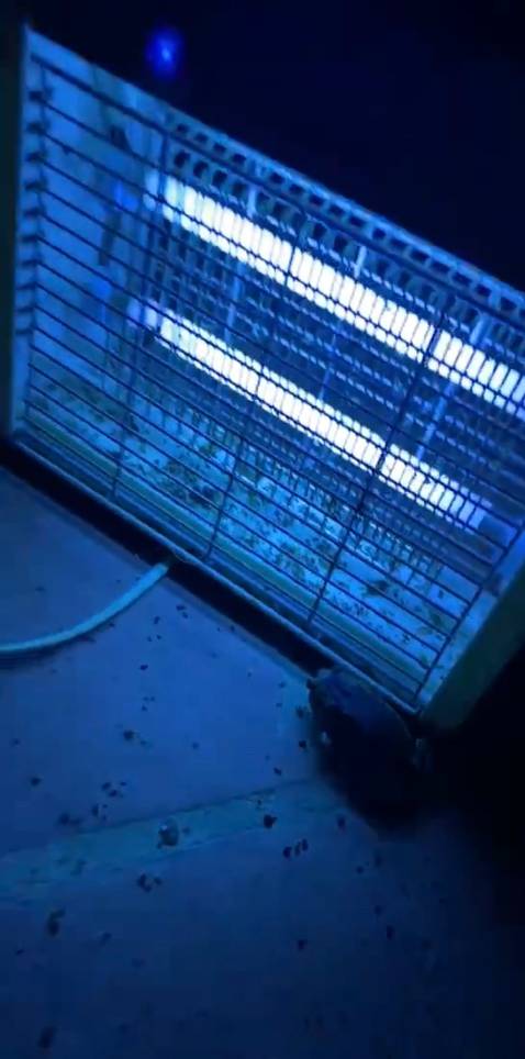 Đã mua nhiều lần ở shop, sản phẩm chất lượng sẽ ủng hộ và giới thiệu cho người thân mua thêm. diệt muỗi và côn trùng hiệu quả lắm. 
Nếu bây giờ được chọn lựa một lần nữa
Thì chắc có lẽ vẫn yêu em như ngày xưa
Nếu bây giờ được chọn lựa điều anh ước mơ
Thì anh tin anh vẫn mơ như anh từng mơ