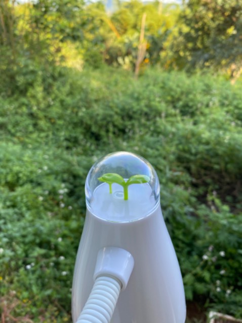 - Mình tham khảo thấy trên top sp bán chạy thì thấy k ưng lắm những sp đèn thế hệ mới vì ngại k thay được bóng nên vẫn quay về với Rạng Đông. Mình thấy mẫu này đơn giản mà đẹp nên quyết định chọn.
- Mình bất ngờ vì đèn cầm chắc tay lắm luôn ấy. Màu xinh, đèn sáng đủ dễ chịu và kết cấu chắc chắn, yên tâm khi sử dụng. Mình tìm mua mà thấy ít người đánh giá quá nên mình sẽ đánh giá thực để cho ai cần thì nên cân nhắc mua loại này nha :D Trên đầu đèn có 2 cái nhánh cây xinh chưa này.
- Mình mua bên shop giá rẻ nhất sàn luôn, hàng chính hãng, đóng gói cẩn thận lắm nhé.
- Xứng đáng chất lượng trong tầm giá 👍