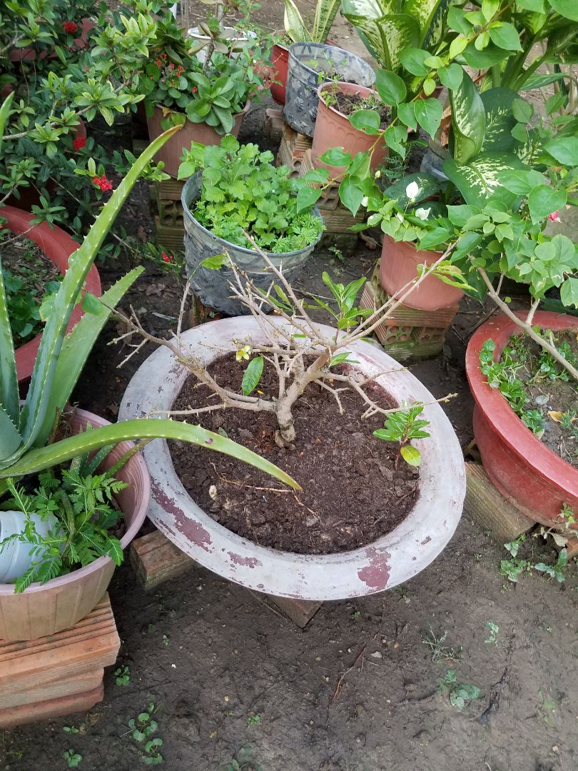 Hàng đúng chất lượng