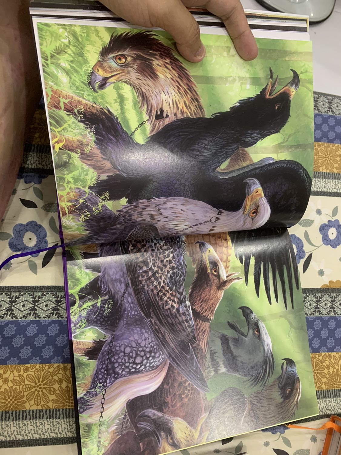 Đã mua sưu tập một cuốn sách quá tuyệt vời của tuổi thơ và sẽ lưu giữ cho thế hệ sau 1 trải nghiệm qua mình hoạ tuyệt vời